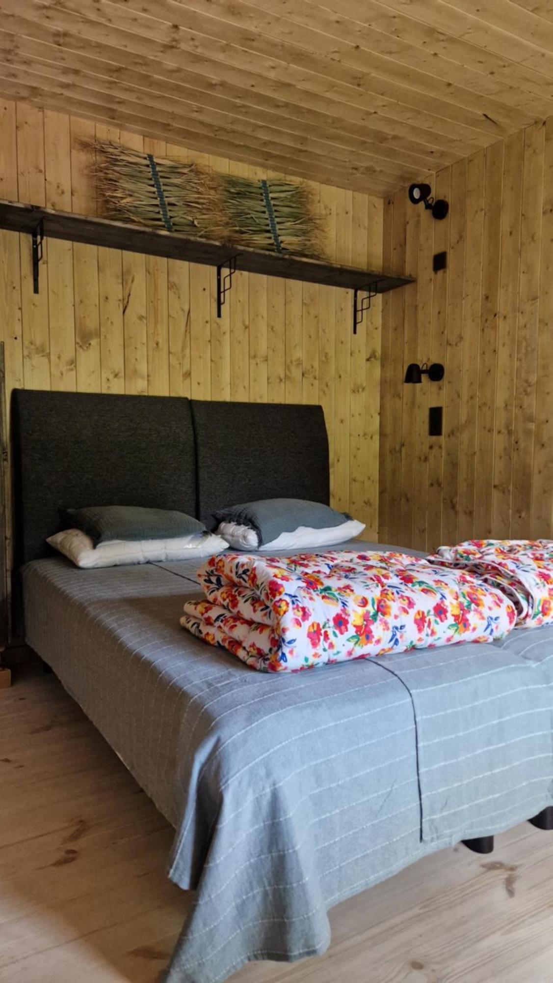 Kaimo Turizmo Sodyba Satavi Kinty Екстериор снимка